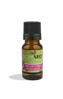 Melon d'eau